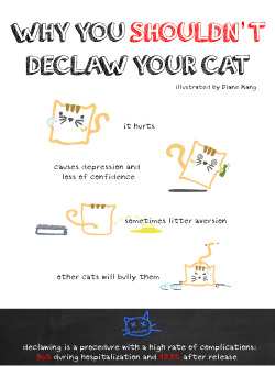 cats-weed-sleep:  scratchingpad:  Why Declawing is a Bad Idea