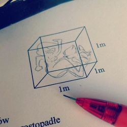 artycutie:  I saw this cube in my math homework and… I had