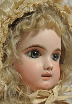 Antique bisque dolls
