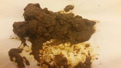 piggybuttslut:  Sometimes extra sloppy and squelchy chocolate