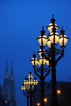 bluepueblo:  Street Lamps, Vienna, Austria photo via sophie