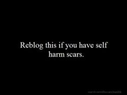 welcome-beeyotchh:  Guilty on We Heart It - http://weheartit.com/entry/105595964