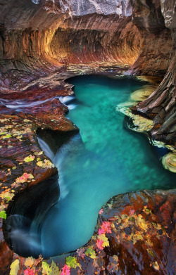 cherjournaldesilmara:Zion National Park, Utah - USA