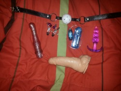 alittlenymph:  my toys.  gag ball (gift from Rofabio)bullet