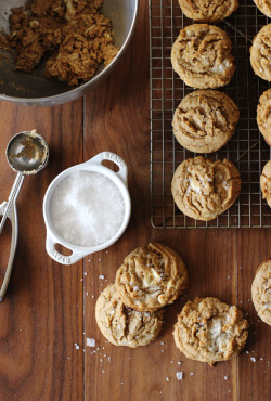 fullcravings:Salted White Chocolate Oatmeal Cookies Like this