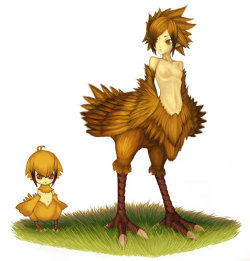 A chocobo harpy taur thing! I may have posted this before, but