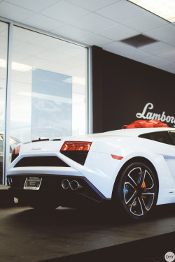 dhylife:  Lamborghini LP560-4 by DHY Photography 