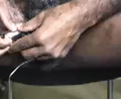 smutgeek:  Hairy Stimulation.