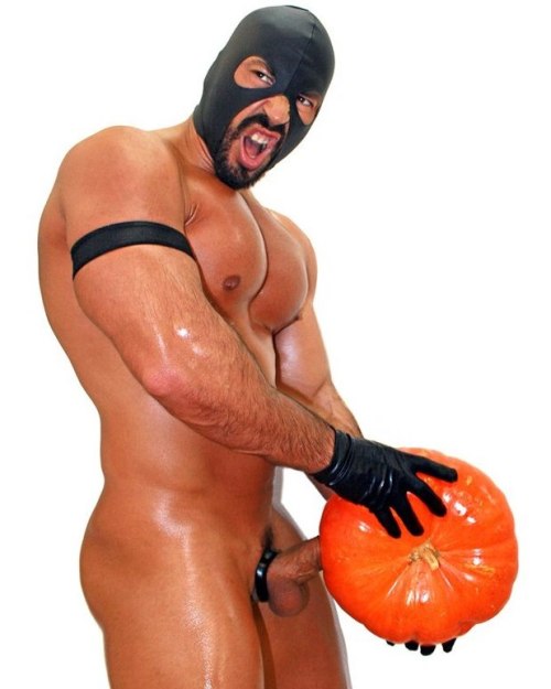 showinbulge:  Pumpkin.