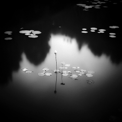 endlesswall:  NOIR on Photography Served by Hengki Koentjoro