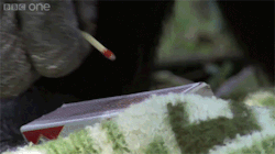 onlylolgifs:  Bonobo builds a fire and toasts marshmallows 