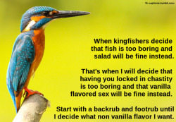 flr-captions: When kingfishers decide that fish is too boring