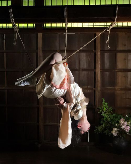 mai8chan:Shibari Hajime KinokoModel Shiro