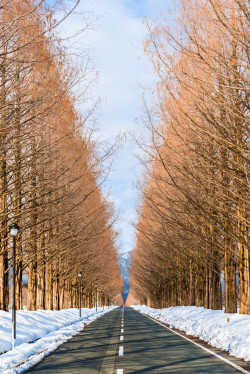 sublim-ature:  Winter Road by Takk Bulkington