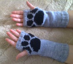 otherkinfashionunder20:  fingerless paw gloves - ฟ.77 buy them