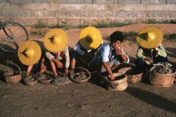 dolm:    China. Hui'an. Fujian. 1983. Hui’an women wear yellow