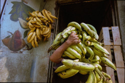 munyakare:Mexico (1979) by Francene Keery