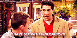 lost-neverlander:  F.R.I.E.N.D.S - 9x17 - The one with the memorial