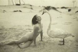 inneroptics:  Marcel Meys-Leda and the Swan  