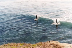 shakasandsinglefins:  Santa Cruz #leica #35mm (at Santa Cruz,