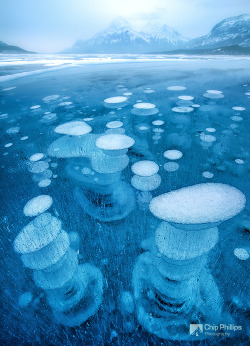 Frozen air (Abraham Lake, Alberta)