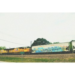 oglite:  train. 