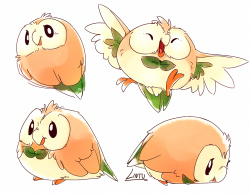 lintufriikki:  Rowlet doodles from my twitter~ 