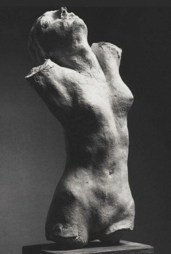 lapesce: Auguste Rodin :: Torso of the Centauress