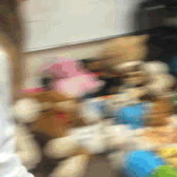 littlepastelpup: i jumped into a pile of stuffies today. i can