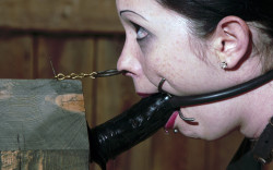 3-holes-2-tits:  TrainingNo way to get the dildo out of the mouth,