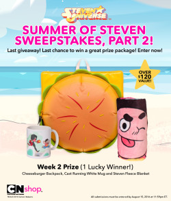 The second Summer of Steven Sweepstakes giveaway by the CN Shop