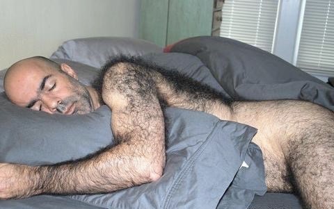 myhairymaturemanlove:😋