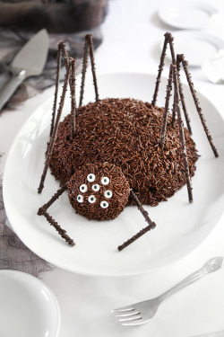 halloweencrafts:  DIY Spider CakeWho knew sprinkle covered chocolate