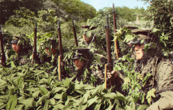 historicaltimes: Camouflaged Japanese soldiers lying in wait