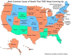 laughingsquid:  A Map of the Most Common Cause of Death by U.S.