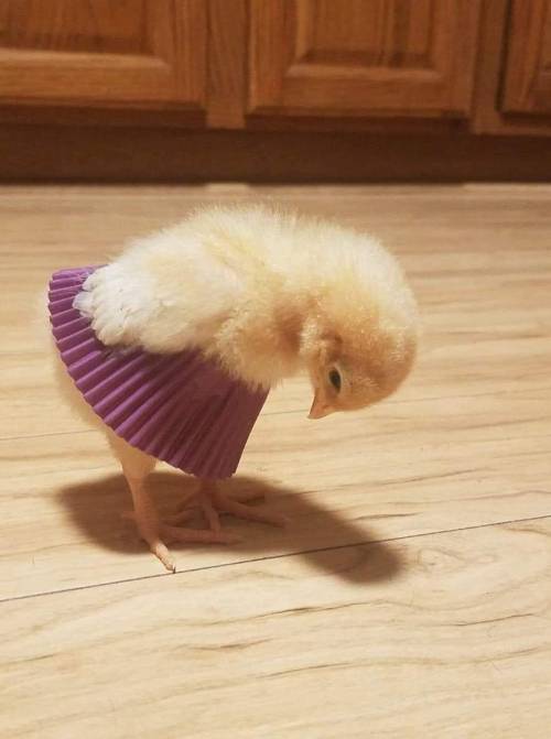 ຮḯṉ