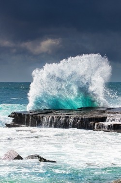 Aloha