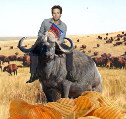 sashaforthewin:  bonerstew:  Mark Ruffalo, eating Ruffles on