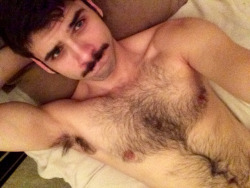 hairygingerman:lovely ‘stached dude