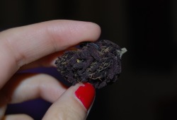 royallyoily:  This is the deepest purple I’ve ever seen in