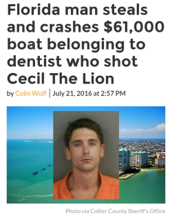 dickpunisher:  Florida Man comes through with direct action.