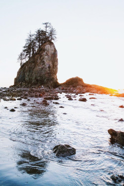 lsleofskye:  La Push evenings   Just a hour and some change West