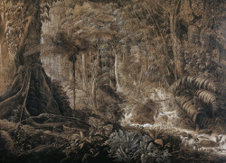 inland-delta:  illustration from Count de Clarac’s Virgin forest