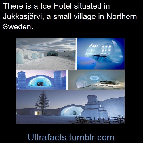 ultrafacts:  Sources: 1 2 3 4 5 6 7/7/7/7 8 9 10 Follow Ultrafacts for more facts  Behold my dear motherland!