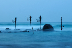 Patience (stilt fishermen, Sri Lanka)