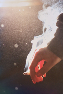 oxigenio-dapalavra:  by shelbybaughn.
