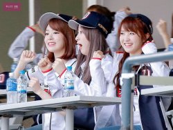 fysakura:  for izone | do not edit.