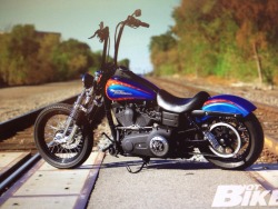 Harley dyna street bob