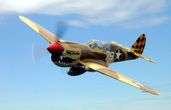 ww1ww2photosfilms:  This airplane  (P-40) is also one of the