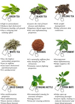 medicinal-plants-herbs:Medicinal Tea